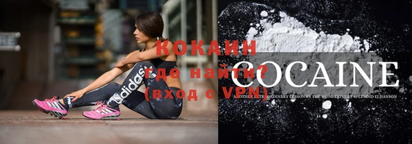 сатива Беломорск