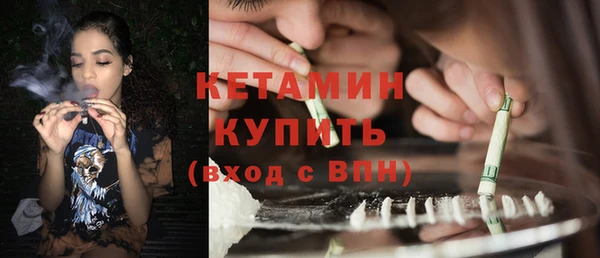 сатива Беломорск