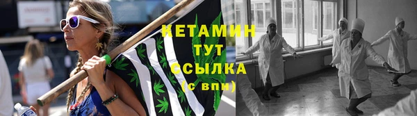 сатива Беломорск