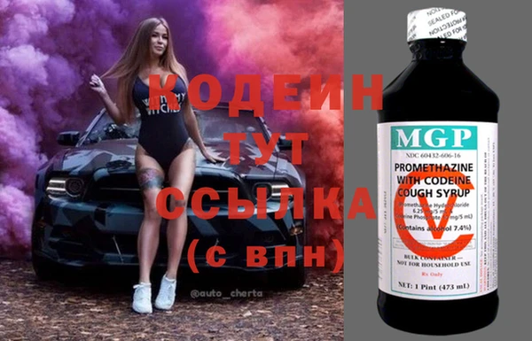 сатива Беломорск