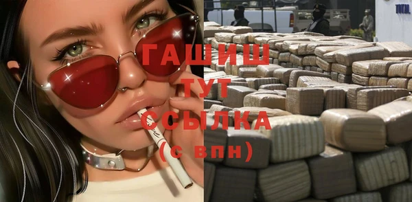 сатива Беломорск
