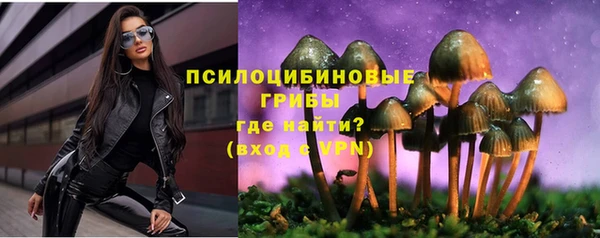 наркотики Белокуриха